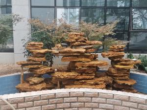 小型庭院麻豆操逼电影