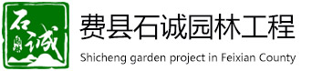 費縣麻豆人妻在线视频園林工程有限公司