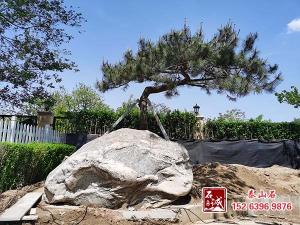 庭院擺放麻豆影片色欲在线观看有什麽講究